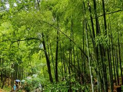 -藏龙百瀑风景区