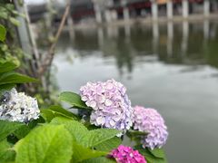 -南浔古镇