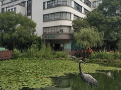 -苏州河梦清园环保主题公园