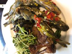 -黄山玉屏楼宾馆餐厅