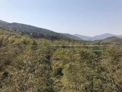 -陶祖圣境风景区