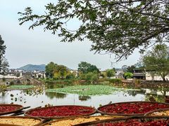-呈坎景区
