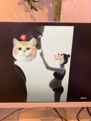 -小时代·孕妈摄影严选店