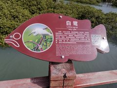 -北海金海湾红树林生态旅游区