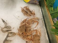 螃蟹-金米客烤肉自助(中山路茂业时代城店)