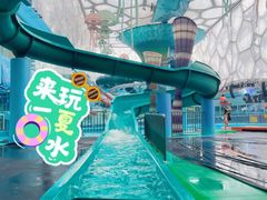 -水立方嬉水乐园