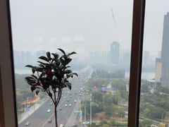 -皇朝万鑫自助餐厅