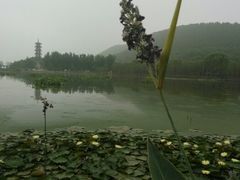 android_upload_pic-云龙山庄