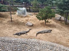 -石家庄市动物园