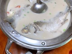 -全乐鱼馆·淳牌有机鱼直营店
