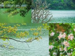 -广州市白云山风景名胜区