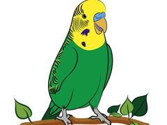 -匠太烧肉台日料理餐酒馆(三林店)