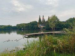 -长田漾湿地公园
