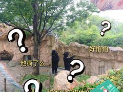 -上海野生动物园
