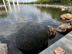 -长春世界雕塑园冰雪艺术天地