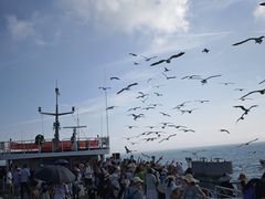 -海驴岛(荣成市)