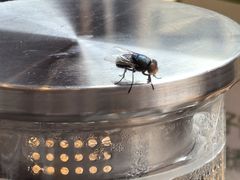 -黔蘑菇四季餐厅(观山湖店)