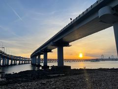 -星海湾跨海大桥