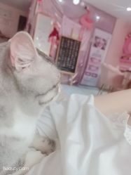 -JX今喜美甲美睫