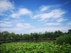 -绿堤公园