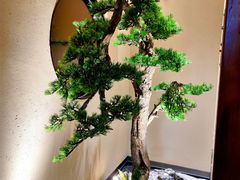 -觅唐MITONG(鸟巢店)