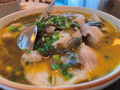 -绿城千岛湖喜来登度假酒店