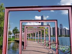 -天鹅湖体育公园