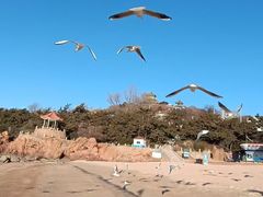 -青岛第三海水浴场