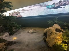 -潮上潮(南中环店)