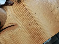 -尕盼舍餐饮新疆名菜(河北东路店)