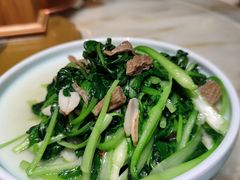 -情满四合院•京菜•烤鸭(动物园店)