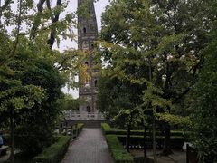 -上海佘山国家森林公园天马山园