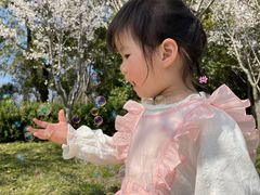 -昆山城市生态森林公园