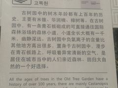 -广州市石门国家森林公园