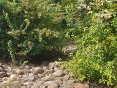 -白塘生态植物园