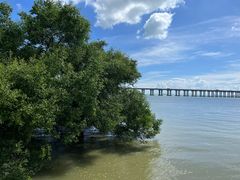 -宝安西湾红树林湿地公园