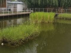 -午后庭院
