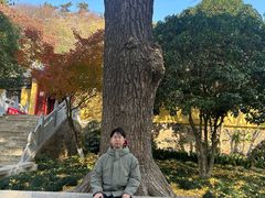 -狼山风景名胜区