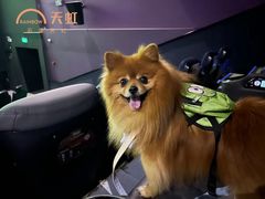 -天虹购物中心(石路店)