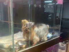 -FAELING PETS美天灵宠物(富力广场店)