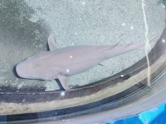 -鸿通城购物中心