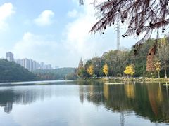 -重庆彩云湖湿地公园
