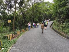 -广州市帽峰山景区