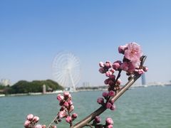-无锡蠡湖国家湿地公园-蠡园