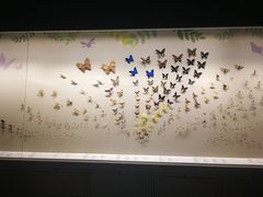 -香港科学馆