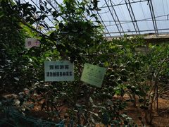 -北戴河集发农业梦想王国