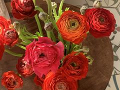 -旭璟酒家·传统粤菜·湘菜(逸景路店)