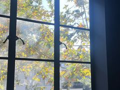 -解药·antidote Cafe&Bar