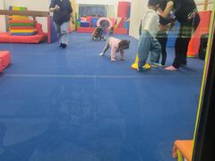 -蜩动儿童运动成长馆(恒生万鹂广场店)