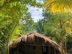 -海南槟榔谷黎苗文化旅游区